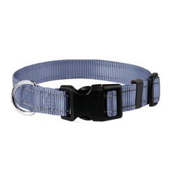 Dark Gray nylon dog collar